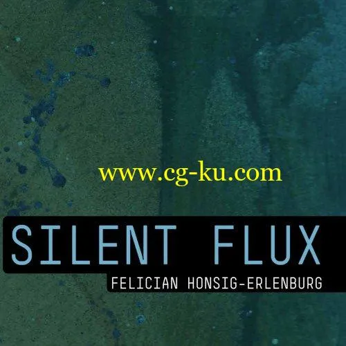 Felician Honsig-Erlenburg – Silent Flux (2020) FLAC的图片1