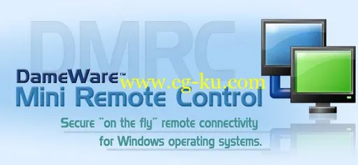 DameWare Mini Remote Control 12.1.0.96的图片1