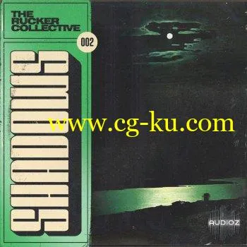 The Rucker Collective 002 – Shadows Sample Pack (Compositions And Stems) WAV的图片1