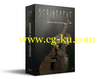 Silence + OtherSounds STRINGACHE KONTAKT-DECiBEL的图片1