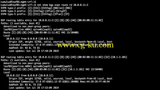 Cumulus Linux from Basics to Advanced VXLAN EVPN的图片1