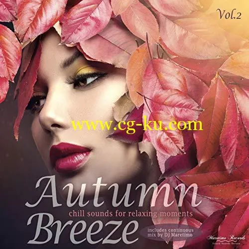 VA – Autumn Breeze Vol. 2 – Chill Sounds for Relaxing Moments (2018) Mp3 / Flac的图片1