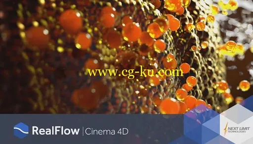 NextLimit RealFlow 2.6.5.0095 Cinema 4D R17-R20的图片1