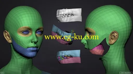 Cubebrush – Female BaseMesh – Eve – ZTool的图片1