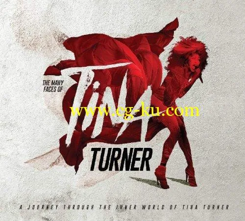 VA – The Many Faces Of Tina Turner (2018) FLAC/MP3的图片1