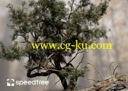 SpeedTree Cinema 8.1.5的图片1