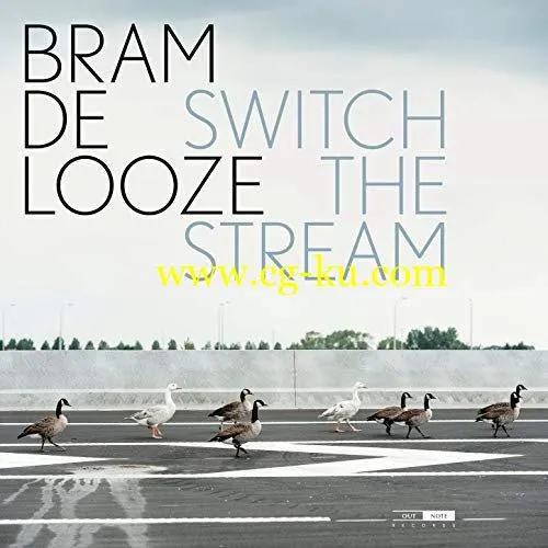 Bram de Looze – Switch The Stream (2018) FLAC/Mp3的图片1