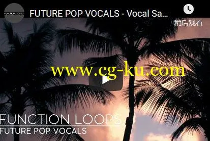 Function Loops – Future Pop Vocals (Wav/Midi/Sylenth)的图片1