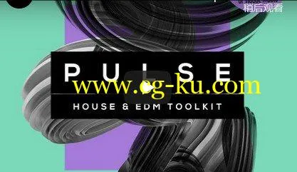 Production Master Pulse (House And EDM Toolkit) WAV-DISCOVER的图片1