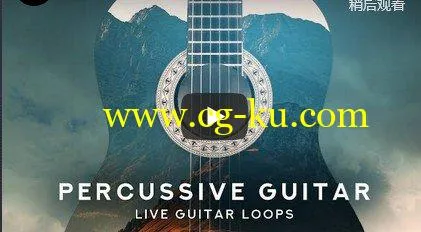 Black Octopus Sound Percussive Guitar WAV-DISCOVER的图片1