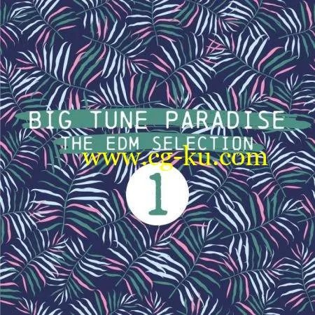 Big Tune Paradise (The EDM Selection, Vol. 1) (2018)的图片1