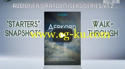 Audiofier Aerkord v1.2.1 KONTAKT的图片1