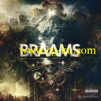 SampleTraxx Braams v1.1 KONTAKT的图片1