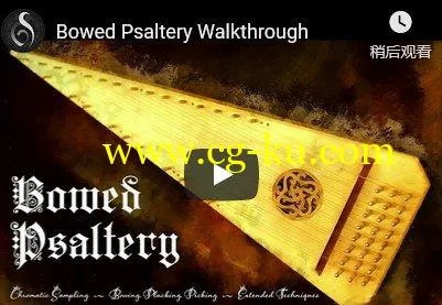 Versilian Studios Bowed Psaltery KONTAKT的图片1