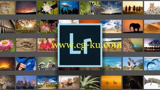 Adobe Lightroom Classic CC – Beginner Level的图片1