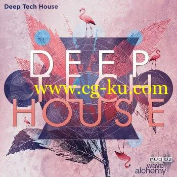 Wave Alchemy Deep Tech House MULTiFORMAT-DECiBEL的图片1