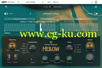 UJAM Virtual Bassist MELLOW Library v1.0.0-R2R的图片1