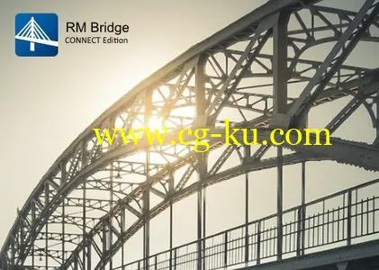 RM Bridge CONNECT Edition V11 Update 4 Product Line的图片1