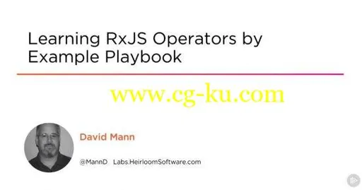 Learning RxJS Operators by Example Playbook的图片1