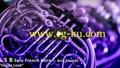 Aria Sounds LSB Solo French Horn KONTAKT的图片1