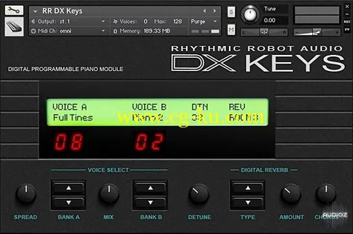 Rhythmic Robot Audio DX Keys KONTAKT的图片1