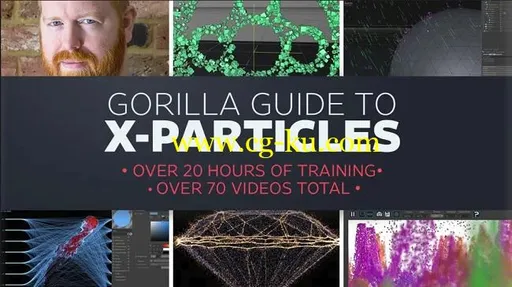 Greyscalegorilla Guide to X-Particles的图片1