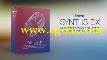 Karanyi SYNTHS DX KONTAKT MERRY XMAS-SYNTHiC4TE的图片1