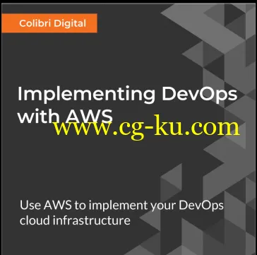 Implementing DevOps with AWS的图片1