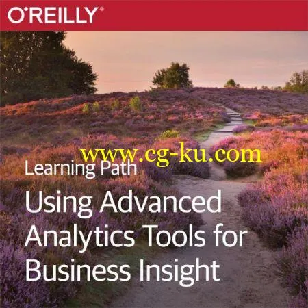 Learning Path: Using Advanced Analytics Tools for Business Insight的图片1