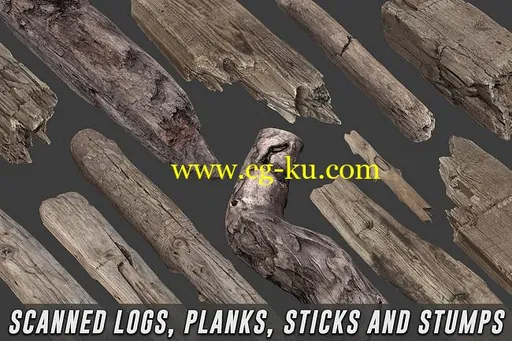 Cubebrush – Scanned Logs, Planks, Sticks and Stumps的图片1