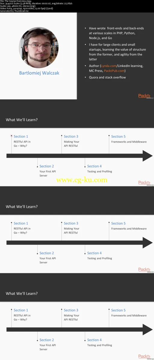 Building RESTful APIs with Go的图片2