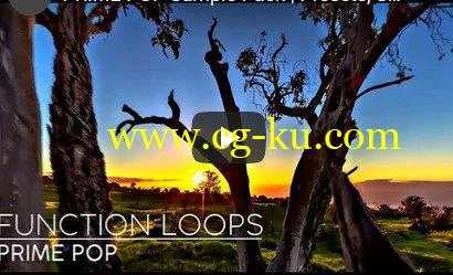 Function Loops Prime Pop WAV MiDi VSTi PRESETS-DISCOVER的图片1