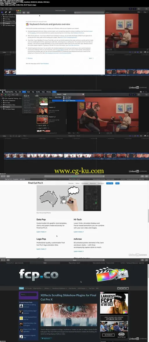 Final Cut Pro X 10.4.4 Essential Training 2018的图片2