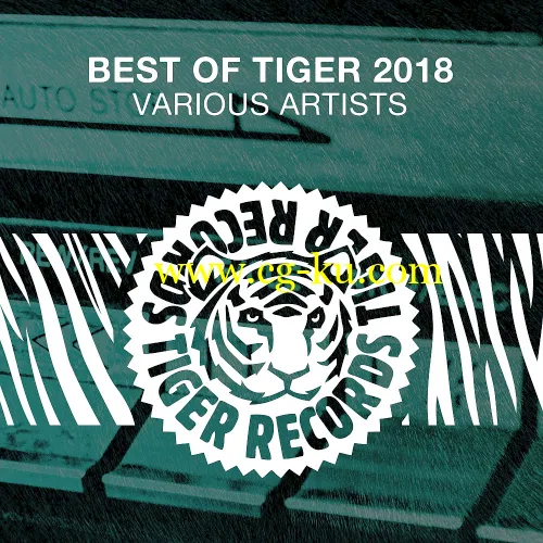 VA – Best Of Tiger Music 2018 (2019) MP3的图片1