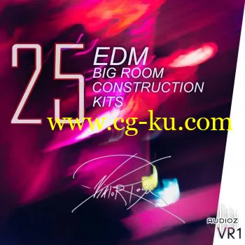 VR1 Big Room EDM construction kits WAV的图片1