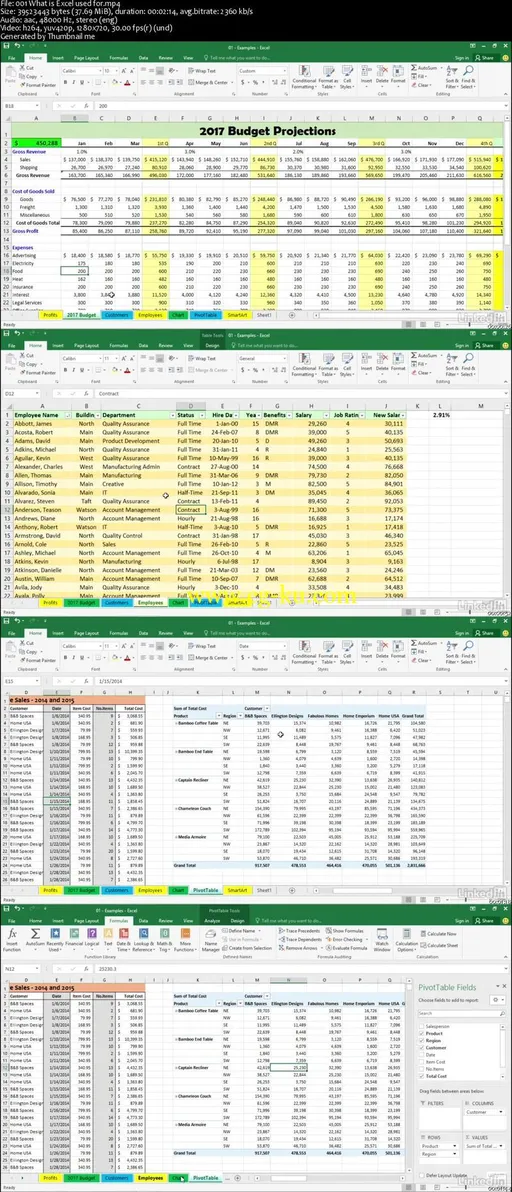 Microsoft Excel 2016- Become an Excel 2016 specialist Fast的图片2