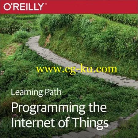 Learning Path: Programming the Internet of Things的图片1