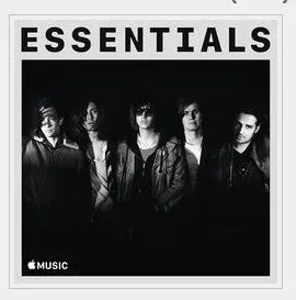 The Strokes Essentials (2019) MP3的图片1