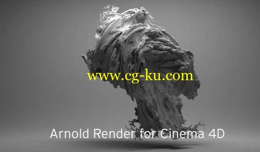 Solid Angle Cinema4D To Arnold 2.4.4.1 for Cinema4D的图片1