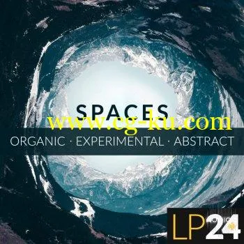 LP24 Audio Spaces WAV的图片1