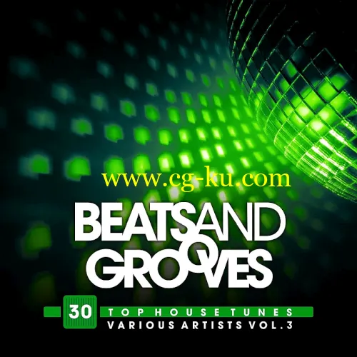 VA – Beats And Grooves (30 Top House Tunes) Vol. 3 (2019)的图片1