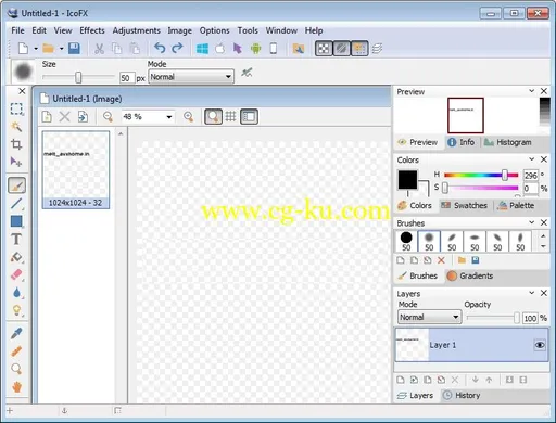 IcoFX 3.3 Multilingual的图片1