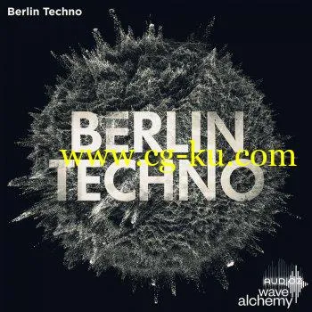 Wave Alchemy Berlin Techno MULTiFORMAT-DECiBEL的图片1