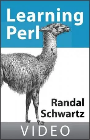 Randal Schwartz on Learning Perl的图片1