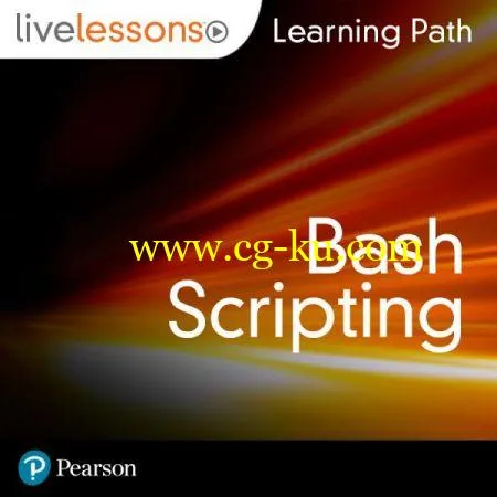 Learning Path: Bash Scripting的图片1