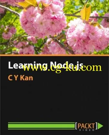 Learning Node.js的图片1