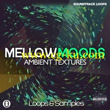 Soundtrack Loops Mellow Moods Ambient Textures WAV的图片1