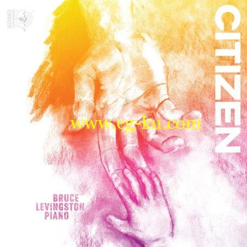 Bruce Levingston – Citizen (2019) FLAC的图片1