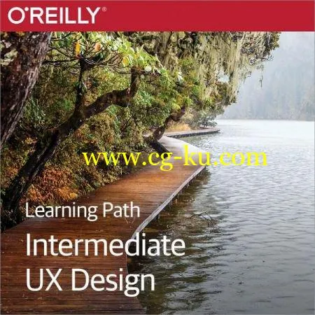 Learning Path: Intermediate UX Design的图片1