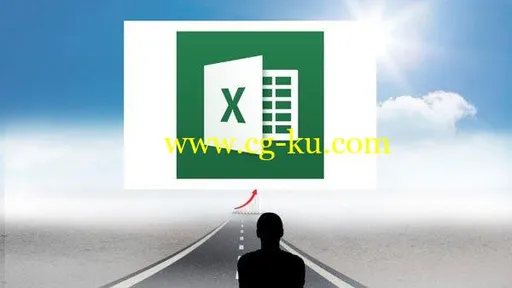 Microsoft Excel Professional的图片1